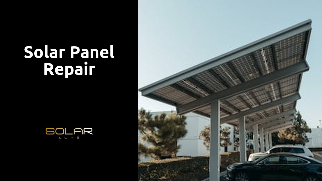 Solar Panel Repair